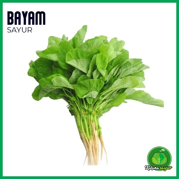 

Bayam aldana sayur garut 1 Ikat