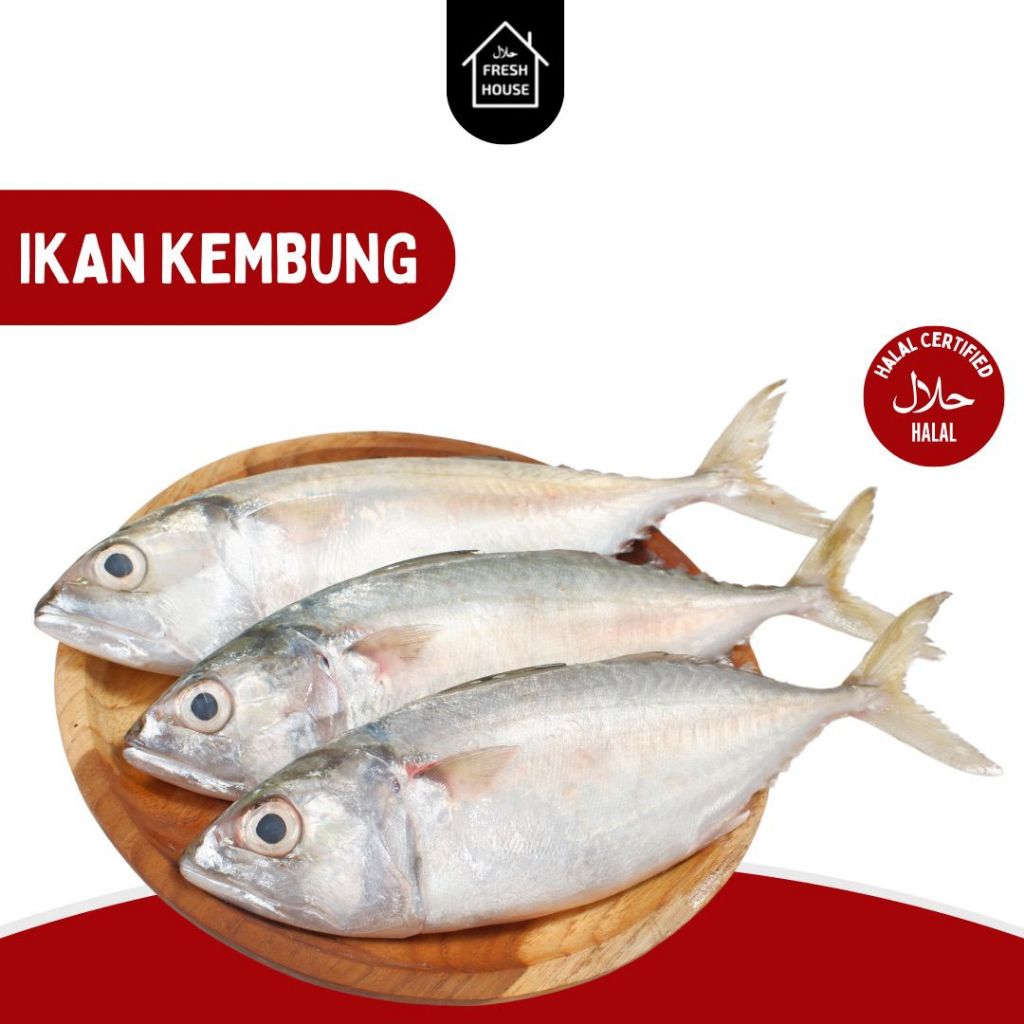 

IKAN KEMBUNG BANJAR FROZEN