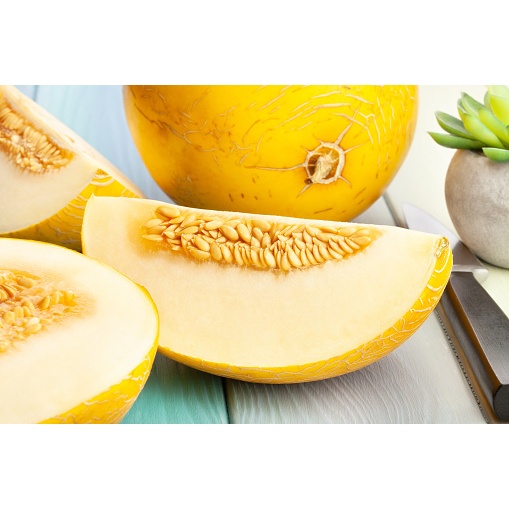 

Buah Melon Golden 1 Buah - Fresh, Manis dan Segar