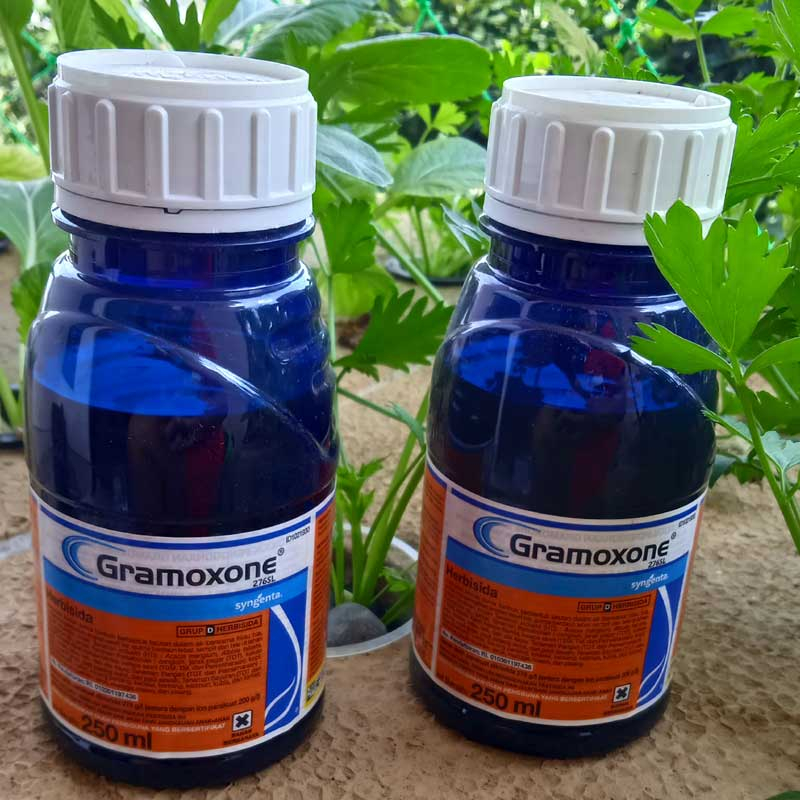 [Anti Rumput]  HERBISIDA GRAMOXONE GROMOSON GRAMASON  250 ML ORIGINAL