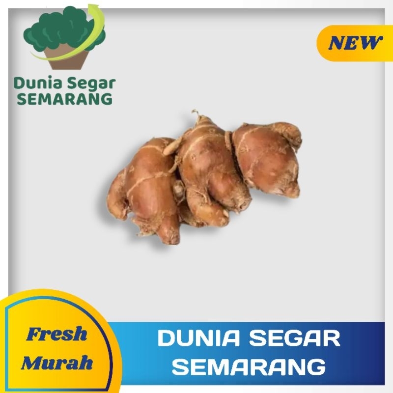 

Kencur 500 gr
