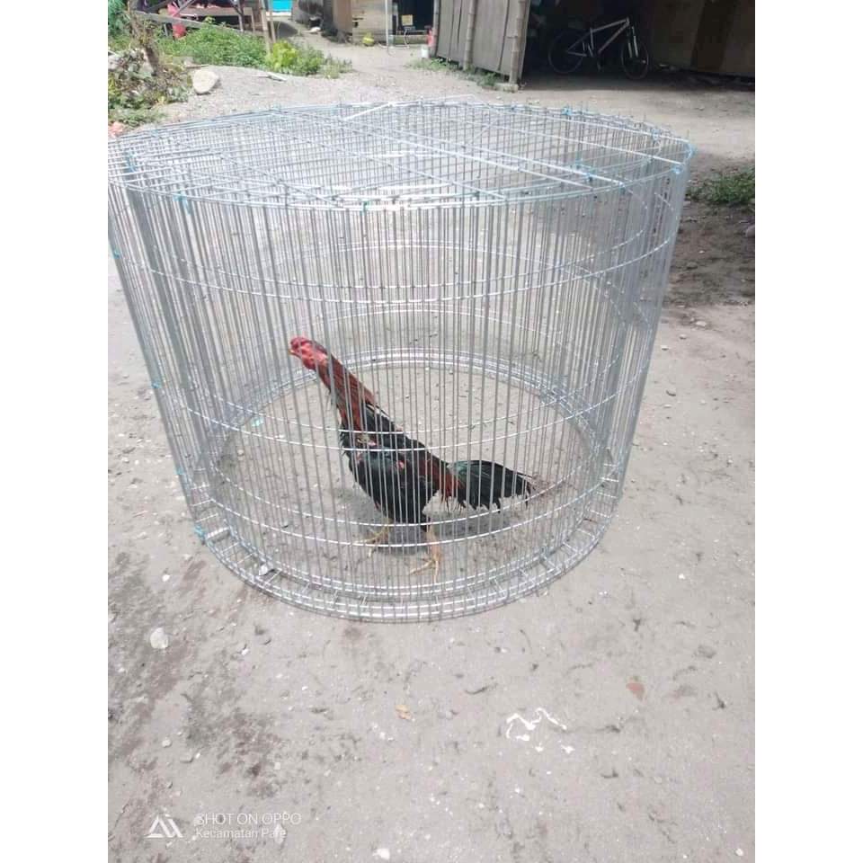 Kandang Ayam / Kurungan Ayam Bahan Galvanis Bentuk KLITER