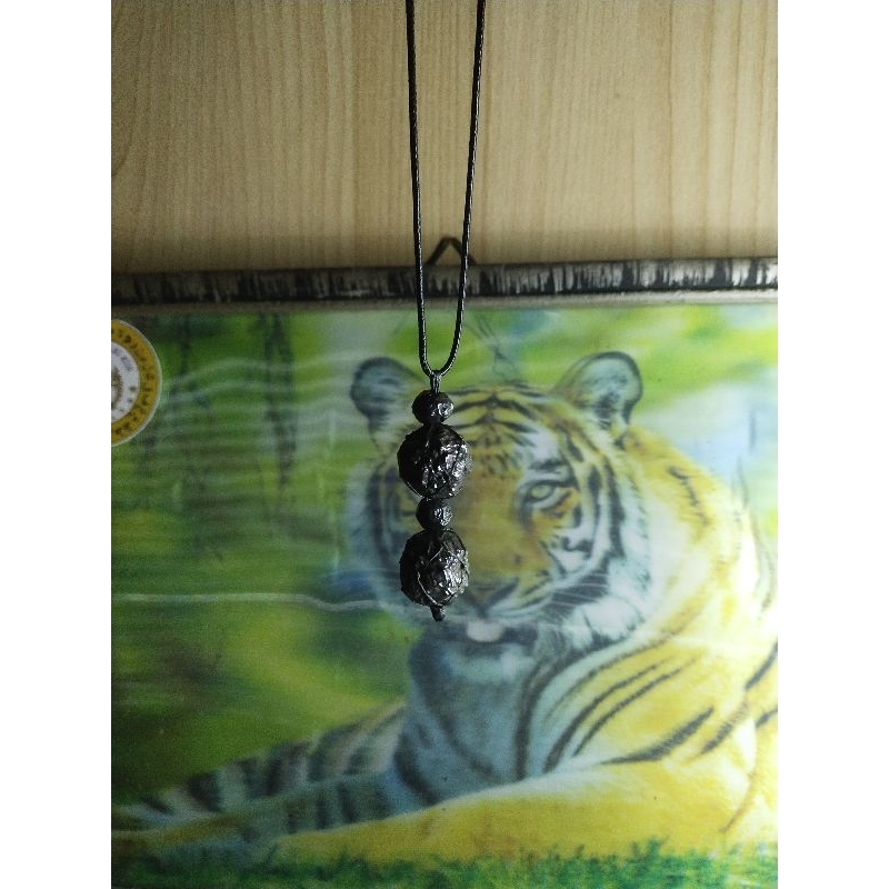 LIONTIN MUNTA BESI