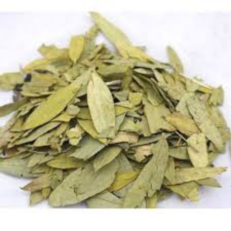 

Teh Daun Jati Cina Kering 1 kg Daun Senna 1000 Gram