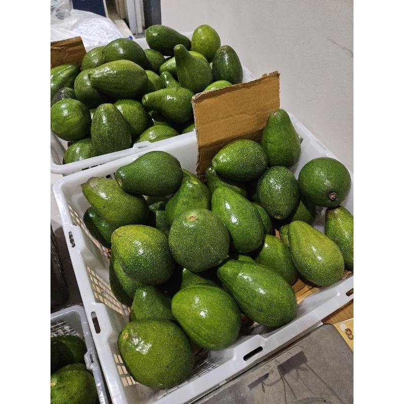 

pesanan alpukat mentega nadya dkk 5kg