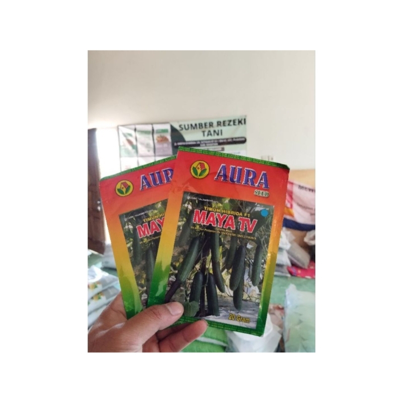 benih timun Maya tv 20gram,timun lalap timun jepang