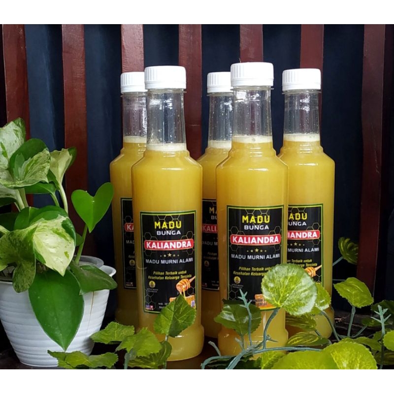 

Madu Kaliandra Asli Madu 100% - Rumah Madu Indonesia