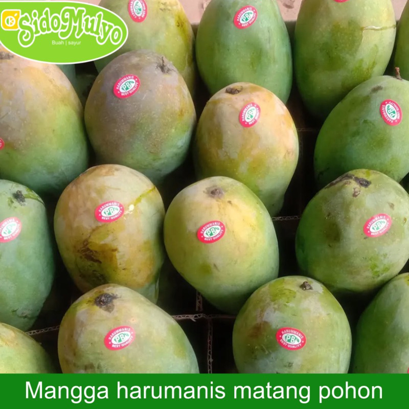 

MANGGA HARUM MANIS super 1 KG | ud sidomulyo fresh