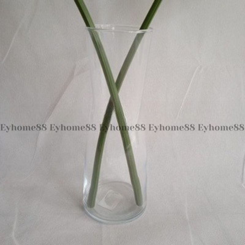 TIDVATTEN Vas bunga kaca bening dekoratif tinggi 30 cm EYO IK1244