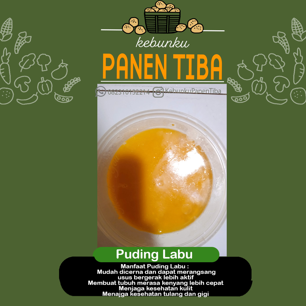 

Puding/ Agar-agar Labu Kuning Kabocha HEALTHY FOOD Diet Less Sugar Vegetarian Kaya Serat Protein Vitamin A, C & K Mineral Antioksidan