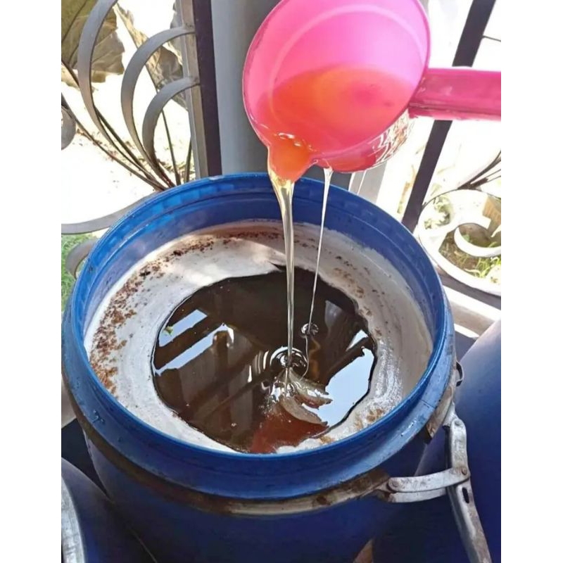 

madu hutan asli Sumatra paket berat 2 kg.