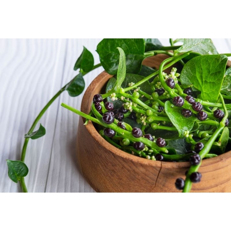 

buah angkung segar fresh langsung petik 100 biji free 20 biji