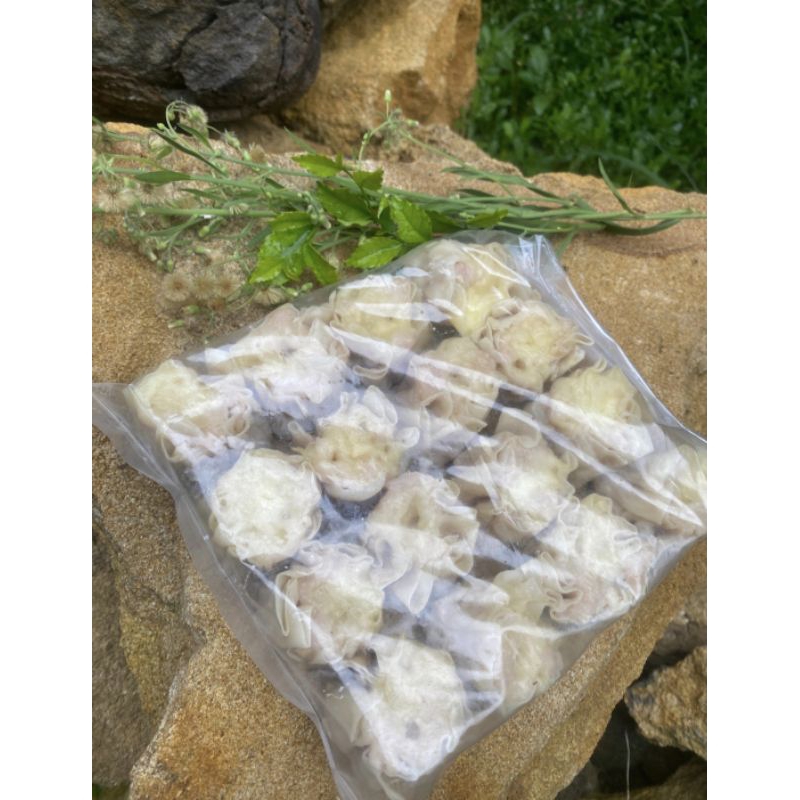 

Dimsum Mentai Mozarella