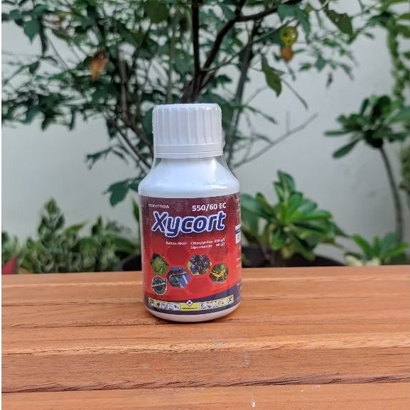 XYCORT 100 ML - INSEKTISIDA