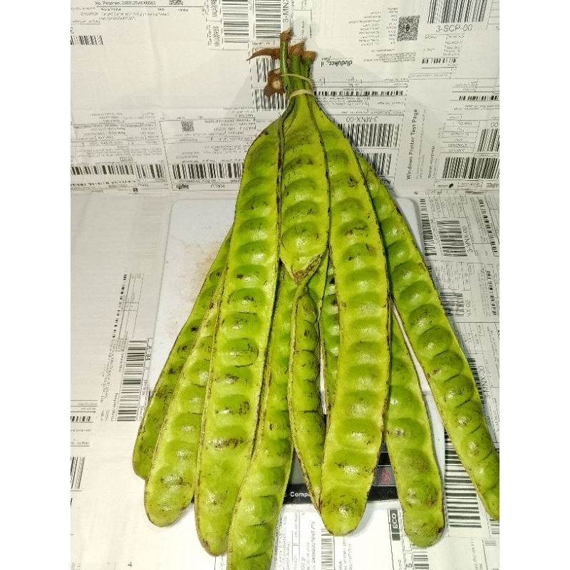 

Pete super dadakan 5 pcs / 5 papan / 5 lonjor