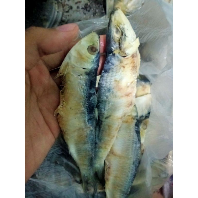 

ikan asin tamban