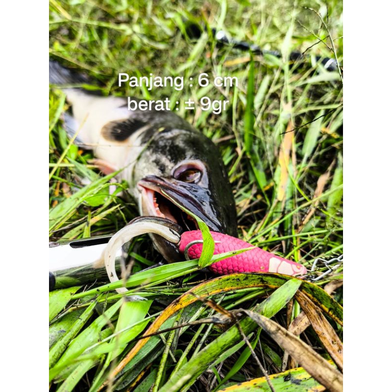 soft frog Skirt timah cor 6 cm || soft frog geol || soft frog berdiri skirt || umpan casting gabus t