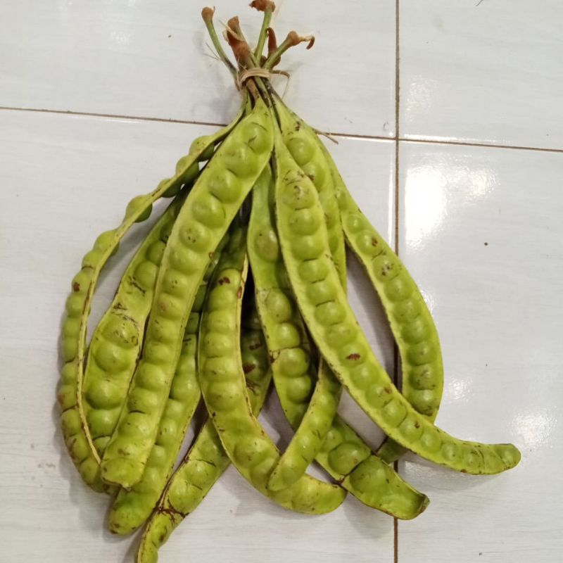 

Pete Tua Lebih Besar Super 5 lonjor/papan Harga Promo