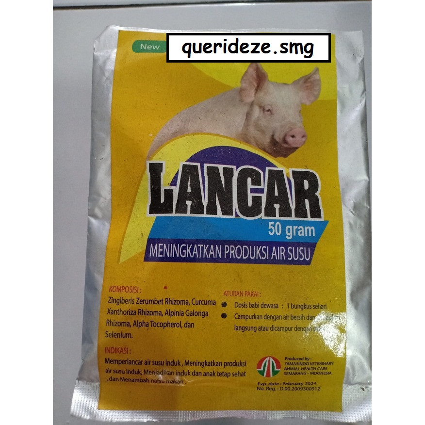 Lancar Babi  jamu meningkatkan produksi air susu induk babi