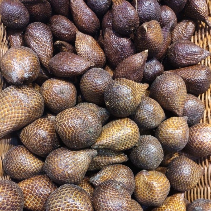 

salak pondoh