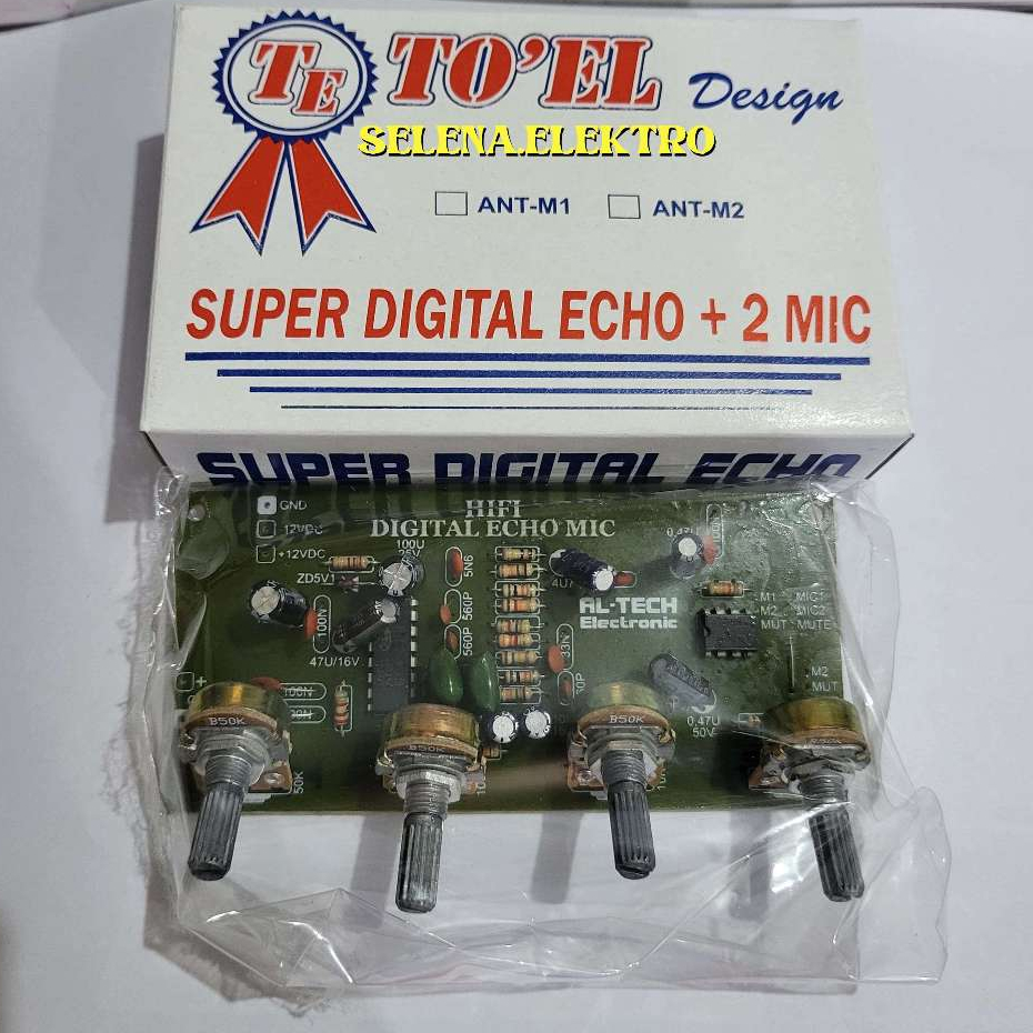 Kit Mic echo toel 2 mic