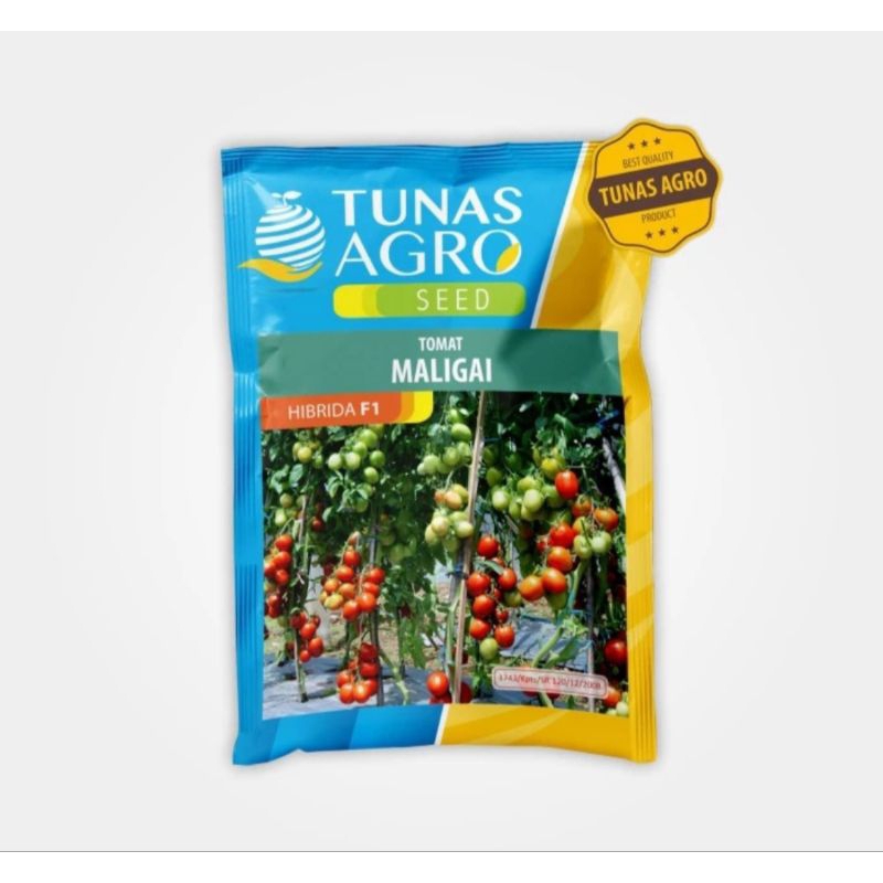 BENIH TOMAT MALIGAI F1 TUNAS AGRO TAVI