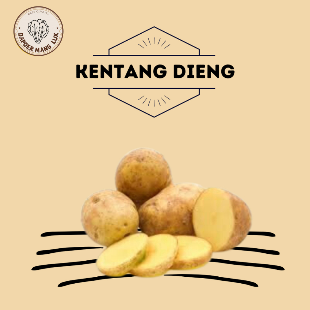 

KENTANG DIENG 1 KG FRESH VEGETABLE BEST QUALITY