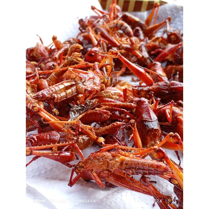 

Belalang goreng