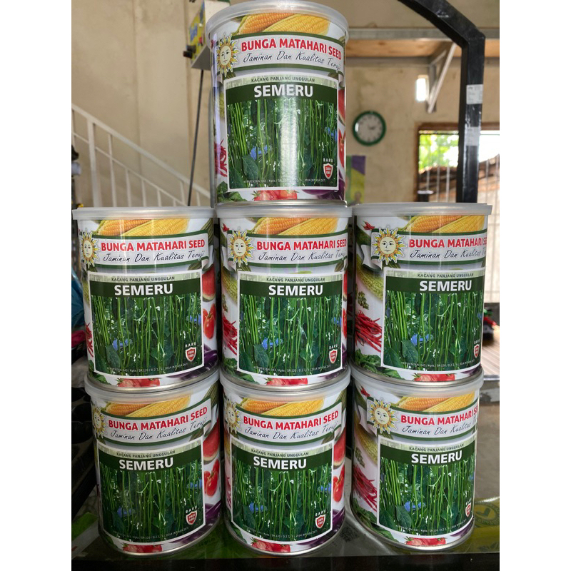 

Kacang Panjang Semeru