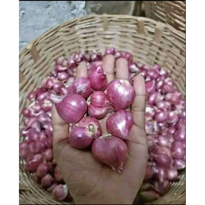 

bawang merah ukuran besar 1 kg lokal nganjuk / bawang merah super 1 kg /bawang merah kering bersih
