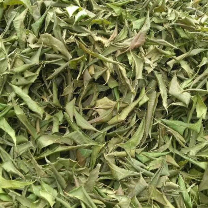 

Daun mimba kering 1 kg