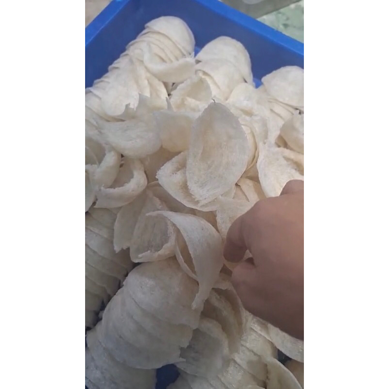 

Sarang Burung Walet Premium Quality