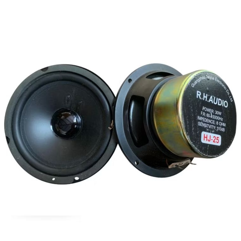 Speaker Bass 5 Inch Anti Magnetik 8 ohm 30 Watt