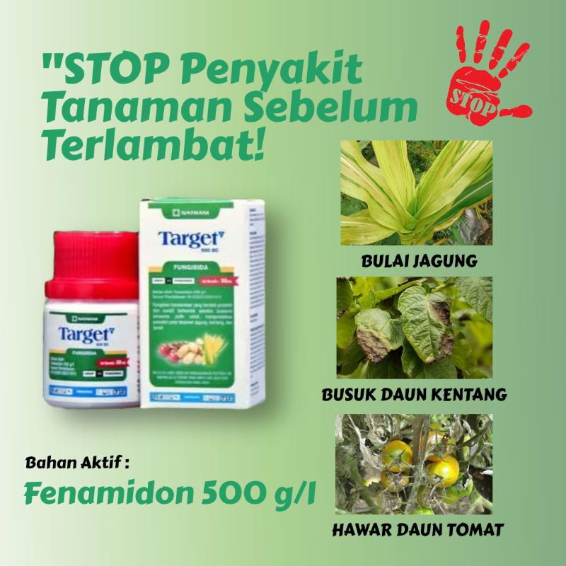 FUNGISIDA TARGET 500 SC | FENAMIDON 500 g/l