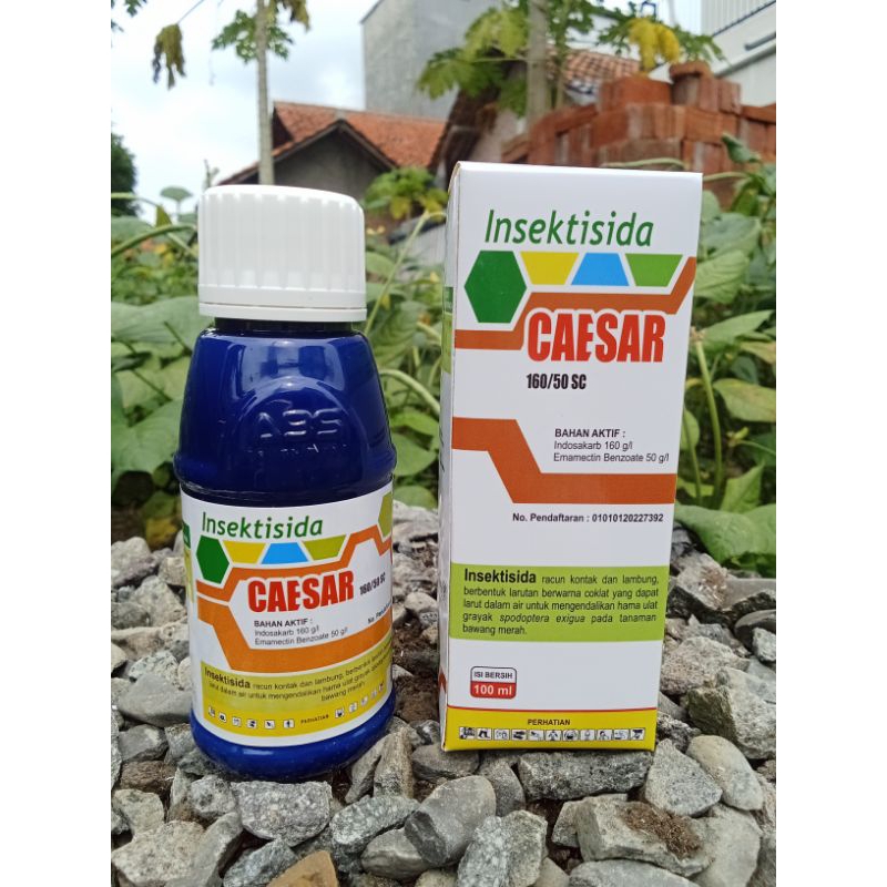 Insektisida CAESAR 160/50 SC Pengendali hama ulat bandel