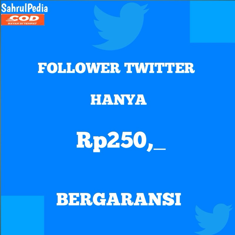 FOLLOWER TWITTER TERMURAH BERGARANSI
