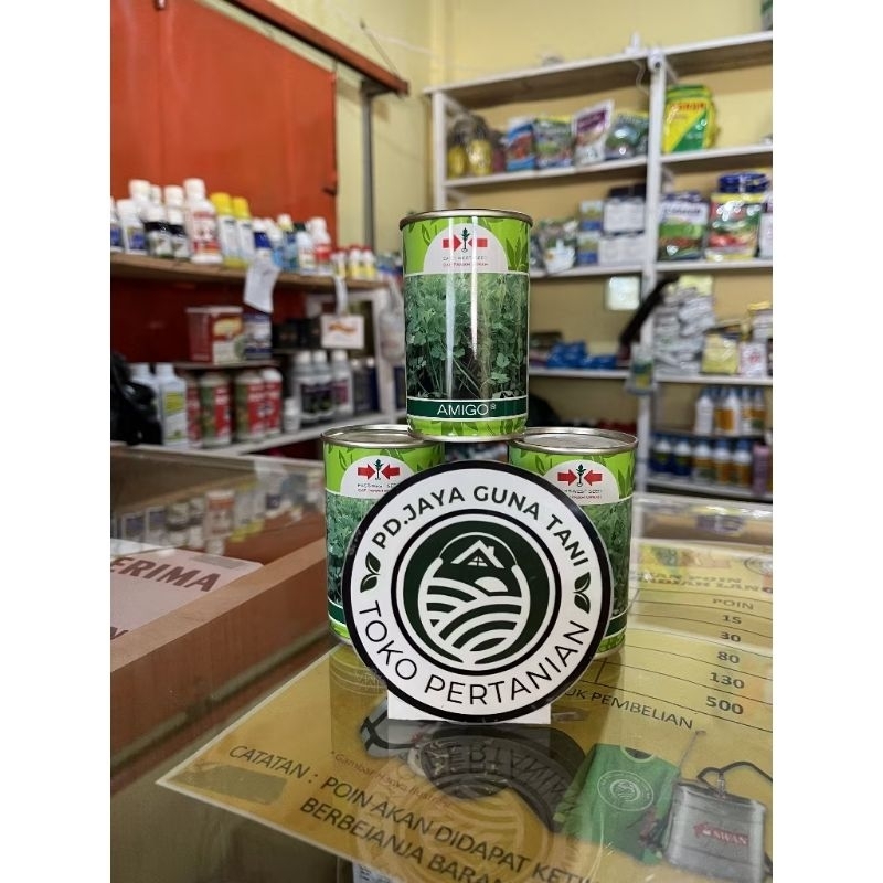 Benih/Bibit Seledri Amigo 50gr