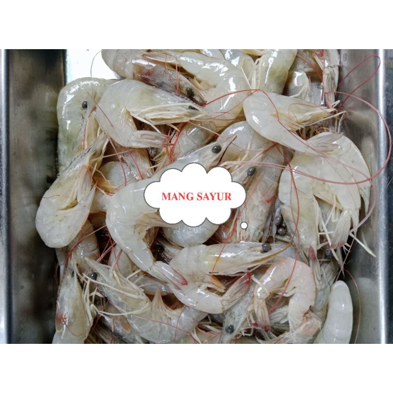 

udang peci panamae mang sayur