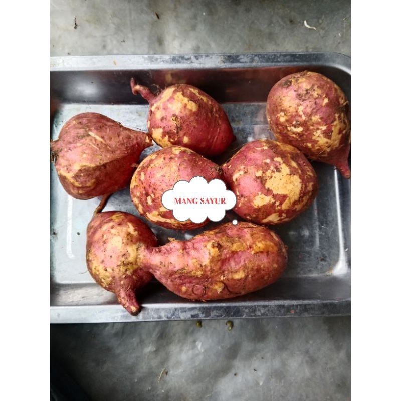 

ubi merah, ubi putih mang sayur