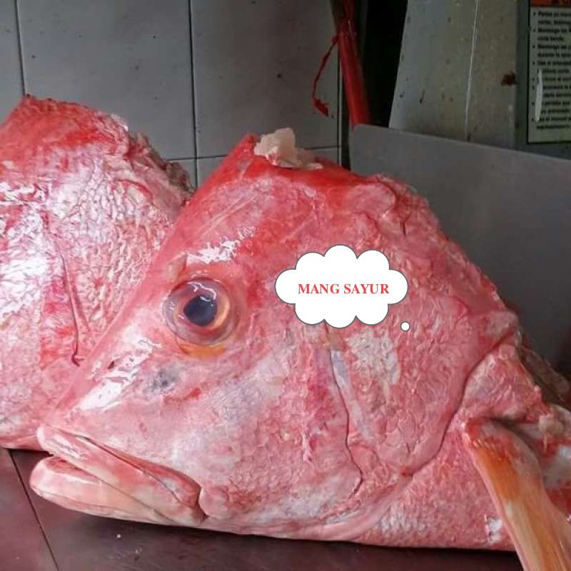 

kepala ikan kakap merah 500gr mang sayur