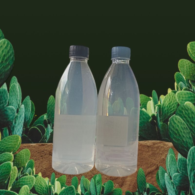 

Air mineral sehat dengan Rasa buah segar 600ml