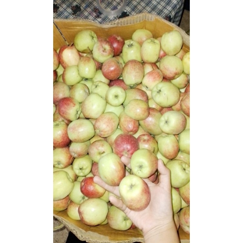 

Apel Ana 1kg