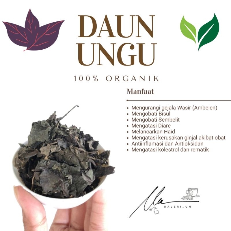 

DAUN UNGU KERING HERBAL