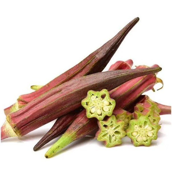 

OKRA MERAH ORGANIK BSP FARM 200GR