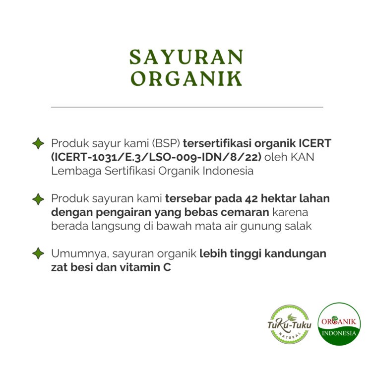 

OKRA HIJAU ORGANIK BSP FARM 200GR