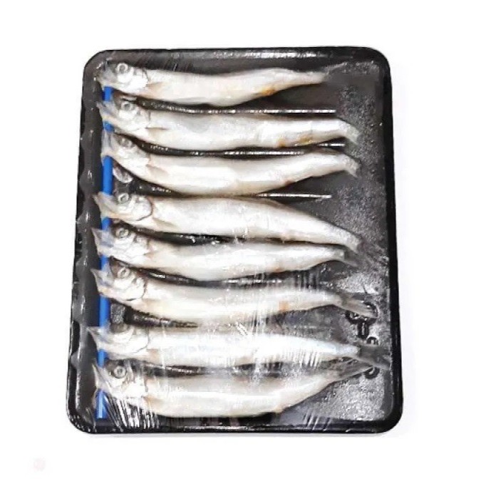 

Ikan Shishamo Frozen