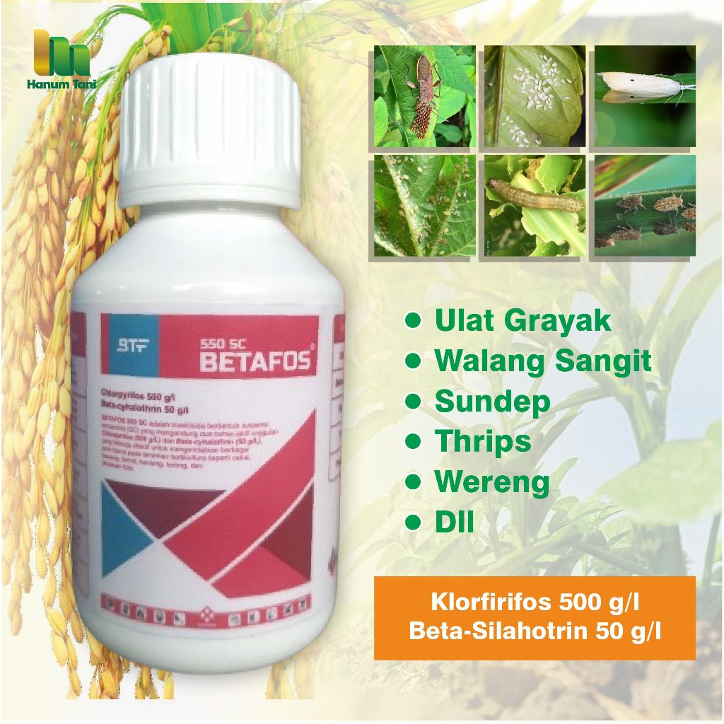 BETAFOS 550 SC - INSEKTISIDA RACUN ULAT DENGAN DUA BAHAN AKTIF KLORPIRIFOS DAN BETA-CYHALOTRIN