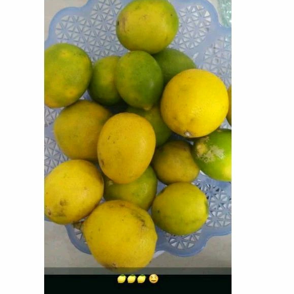 

Lemon California Lokal