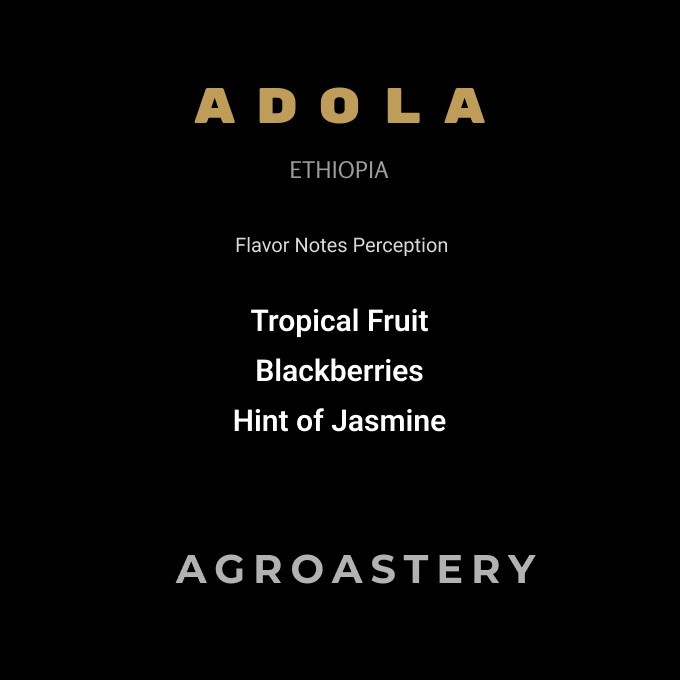 

Biji Kopi Ethiopia Adola CM Natural roasted for filter by AGROASTERY