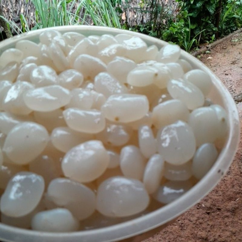

kolangkaling